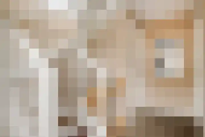 Koolmees 5 Olst thumbnail 19