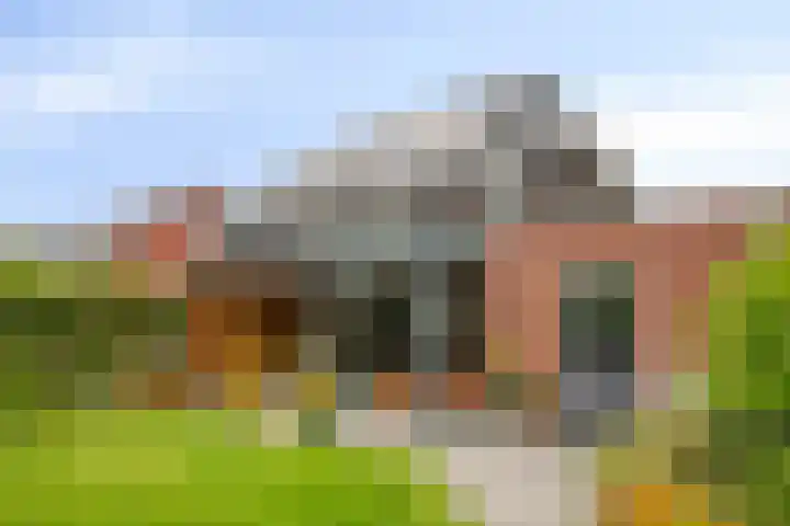 Koolmees 5 Olst foto 2