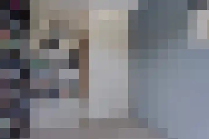 Koolmees 5 Olst thumbnail 20