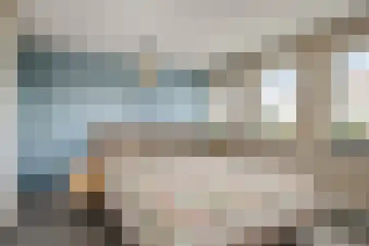 Koolmees 5 Olst thumbnail 20