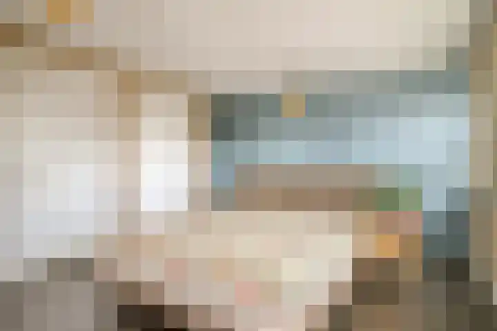 Koolmees 5 Olst thumbnail 21