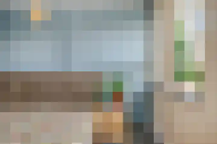 Koolmees 5 Olst thumbnail 22