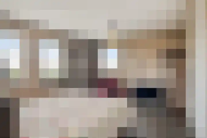 Koolmees 5 Olst thumbnail 23