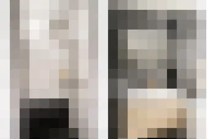 Koolmees 5 Olst thumbnail 24