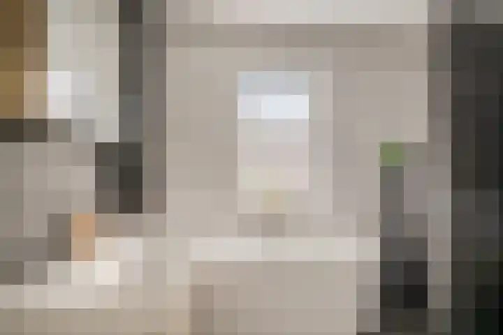 Koolmees 5 Olst thumbnail 25