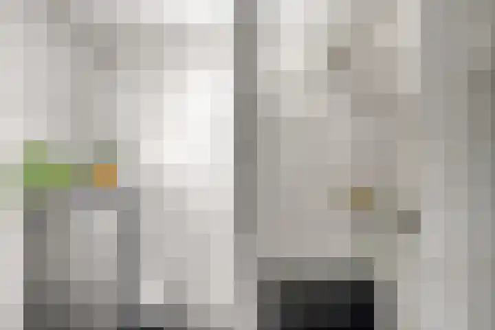 Koolmees 5 Olst thumbnail 26