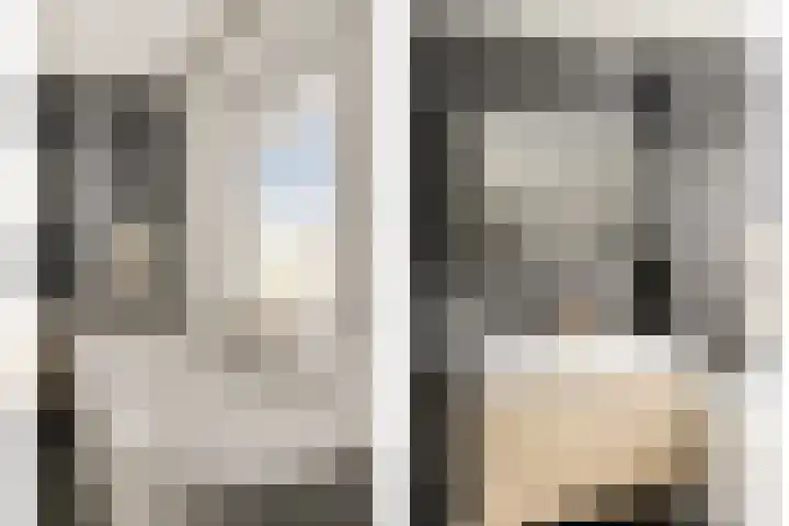 Koolmees 5 Olst thumbnail 27