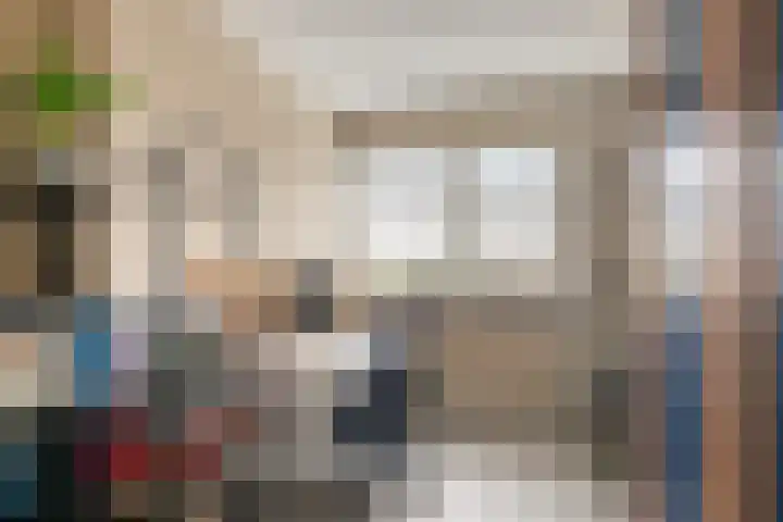 Koolmees 5 Olst thumbnail 28