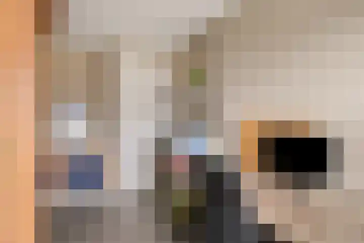 Koolmees 5 Olst thumbnail 29