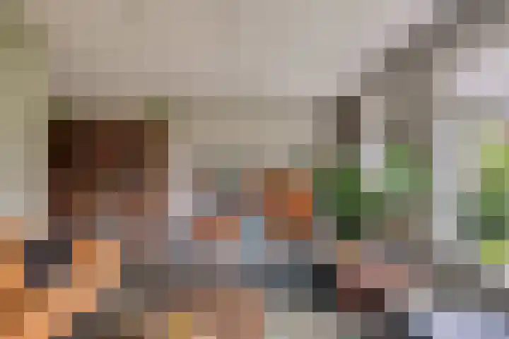 Koolmees 5 Olst foto 3