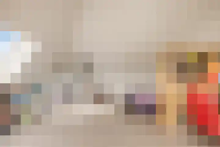 Koolmees 5 Olst thumbnail 30