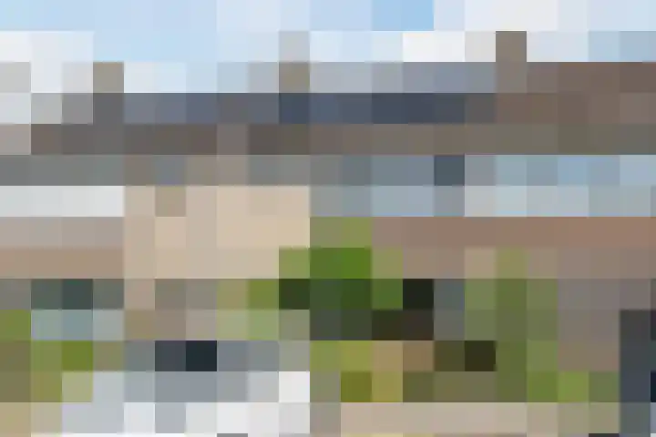 Koolmees 5 Olst thumbnail 33