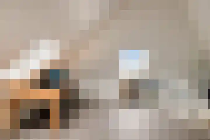 Koolmees 5 Olst thumbnail 33
