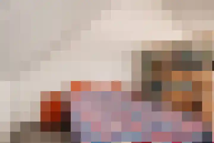 Koolmees 5 Olst thumbnail 34