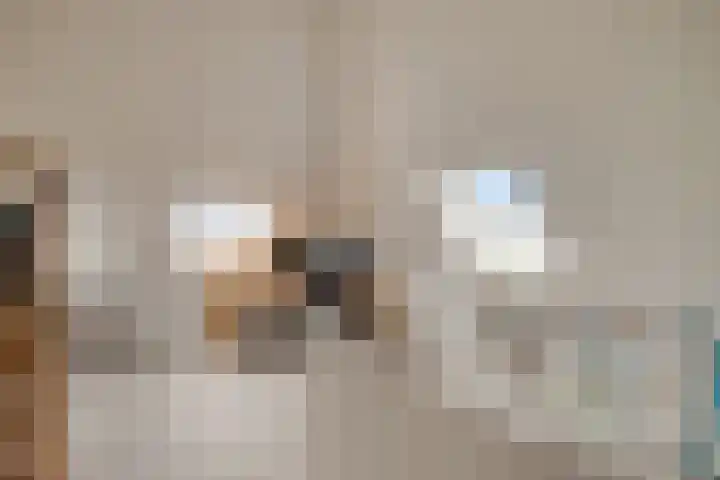 Koolmees 5 Olst thumbnail 35