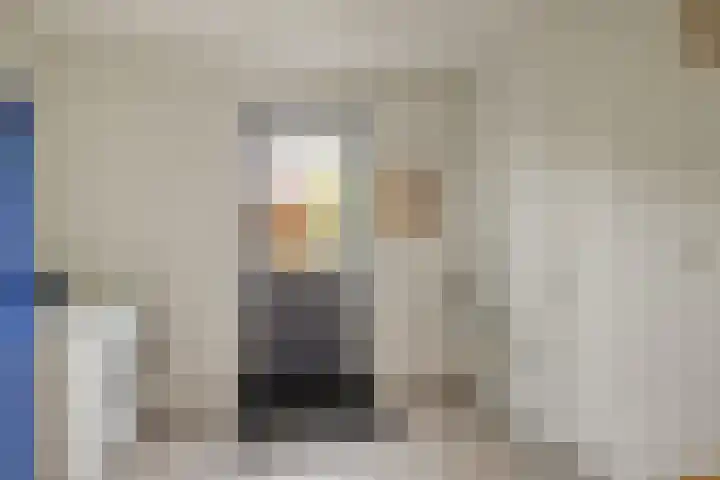 Koolmees 5 Olst thumbnail 36