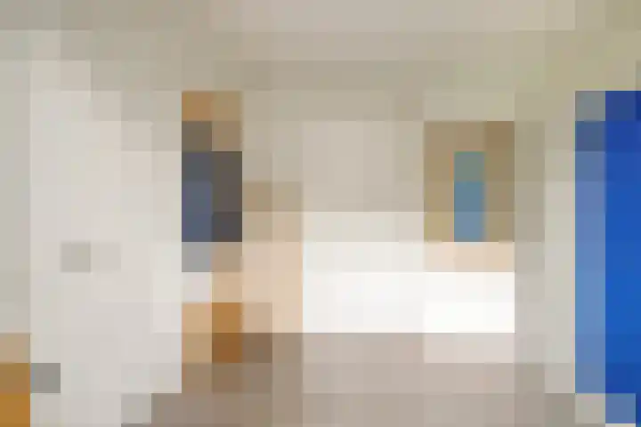 Koolmees 5 Olst thumbnail 37