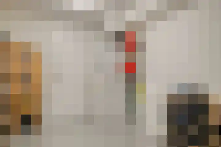 Koolmees 5 Olst thumbnail 38