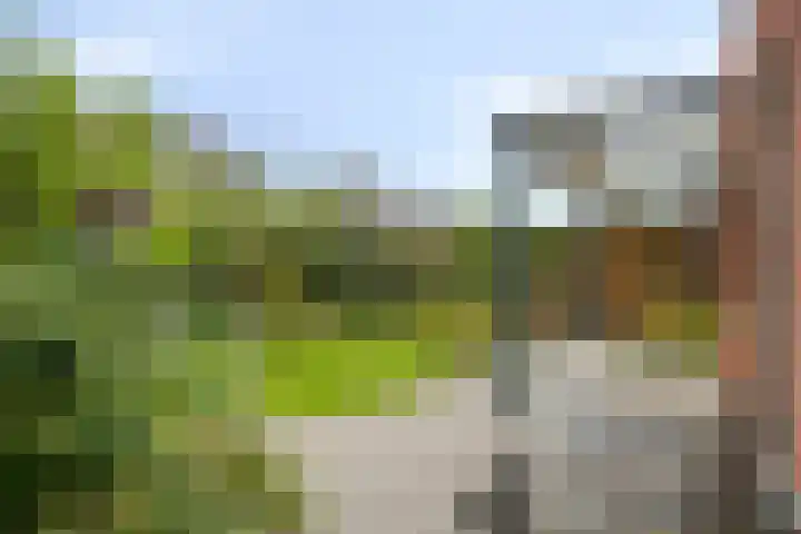 Koolmees 5 Olst thumbnail 40