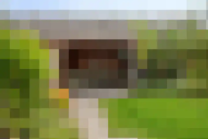 Koolmees 5 Olst thumbnail 41