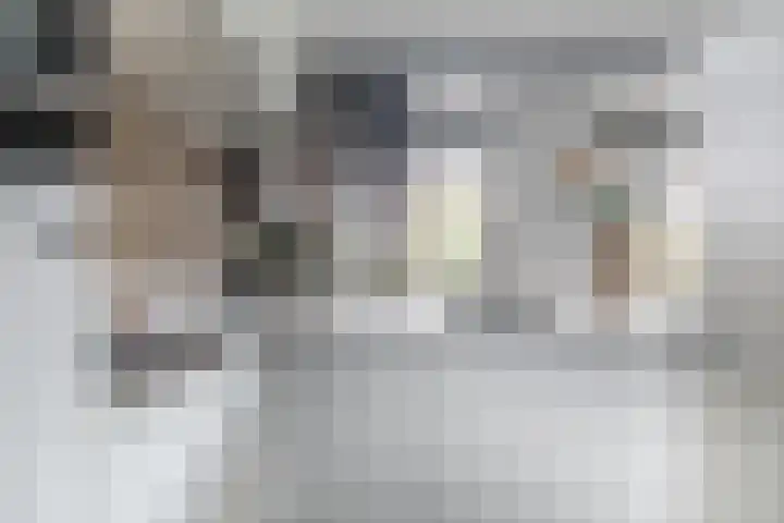 Koolmees 5 Olst thumbnail 42