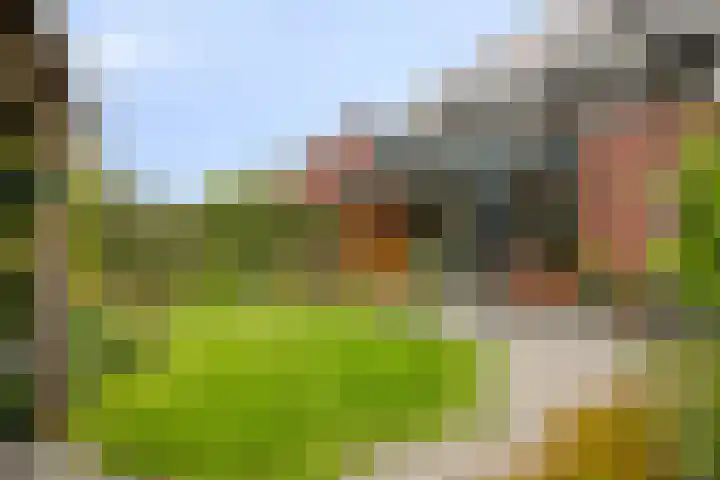 Koolmees 5 Olst thumbnail 42