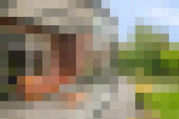 Koolmees 5 Olst thumbnail 44