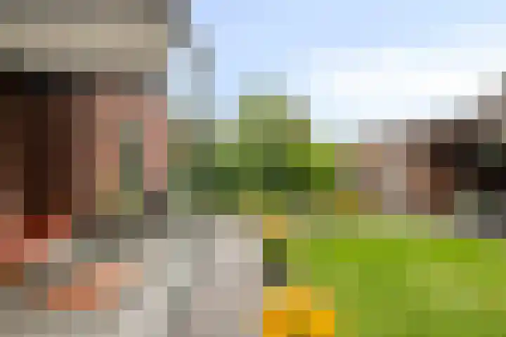 Koolmees 5 Olst thumbnail 45