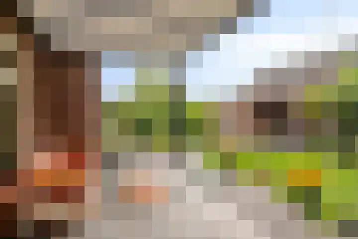 Koolmees 5 Olst thumbnail 46