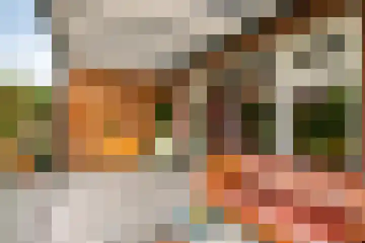 Koolmees 5 Olst thumbnail 47