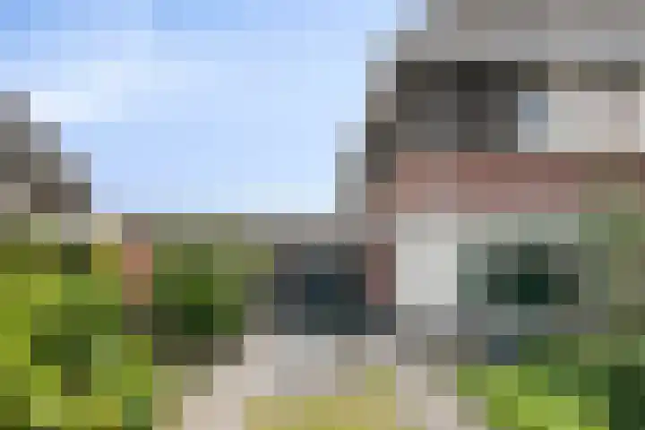 Koolmees 5 Olst thumbnail 48