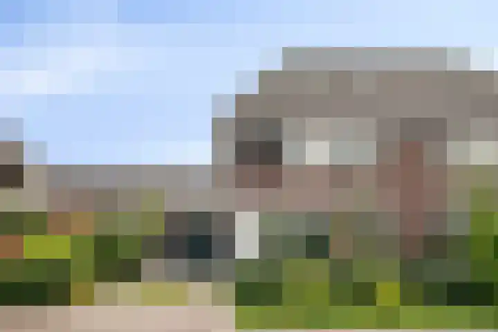 Koolmees 5 Olst thumbnail 49