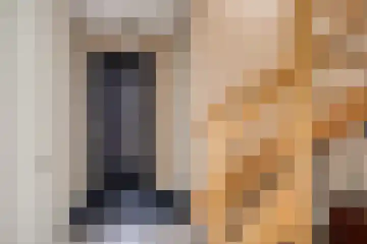 Koolmees 5 Olst thumbnail 5