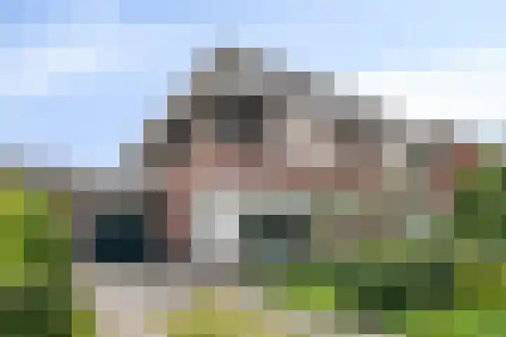 Koolmees 5 Olst thumbnail 50