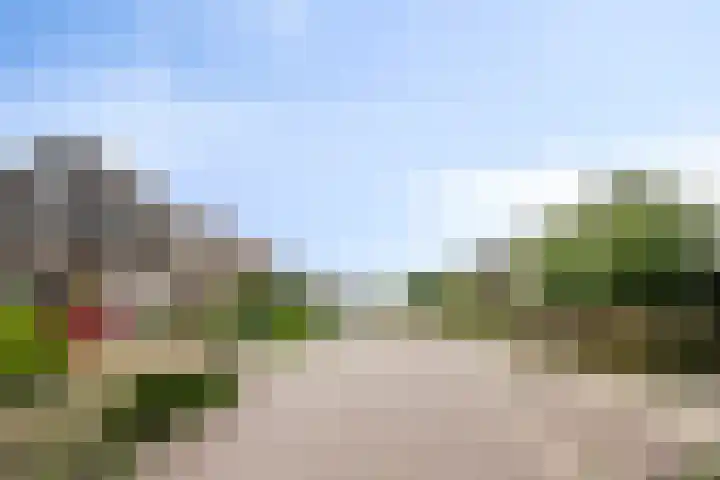 Koolmees 5 Olst thumbnail 51