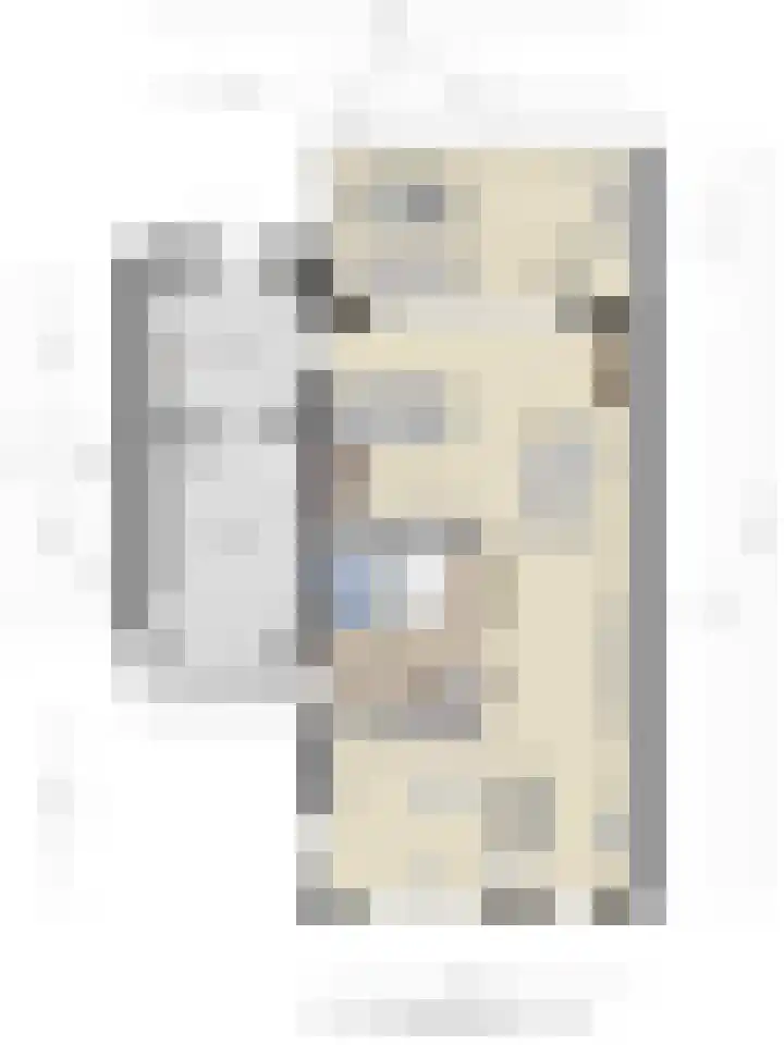 Koolmees 5 Olst thumbnail 53