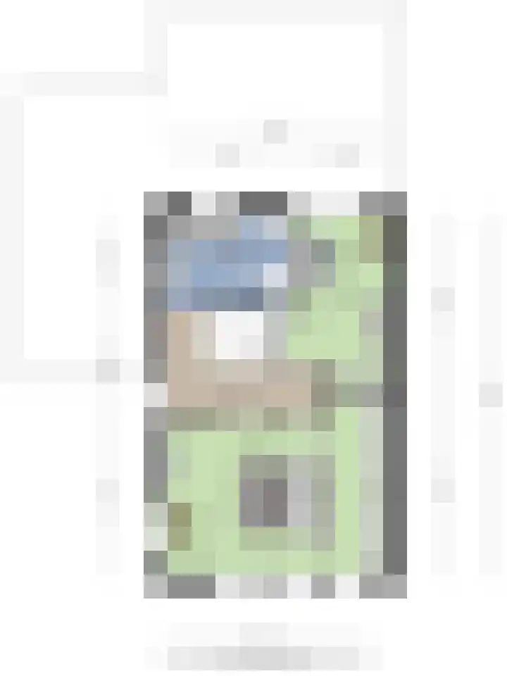 Koolmees 5 Olst thumbnail 54