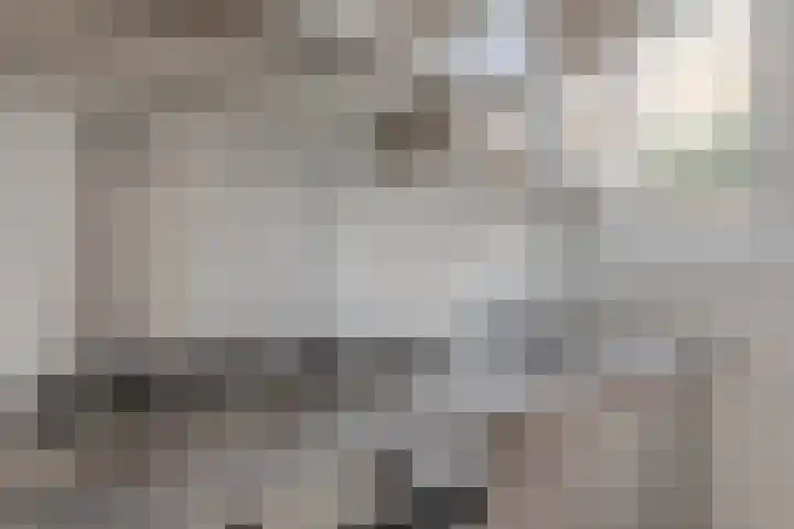 Koolmees 5 Olst thumbnail 6