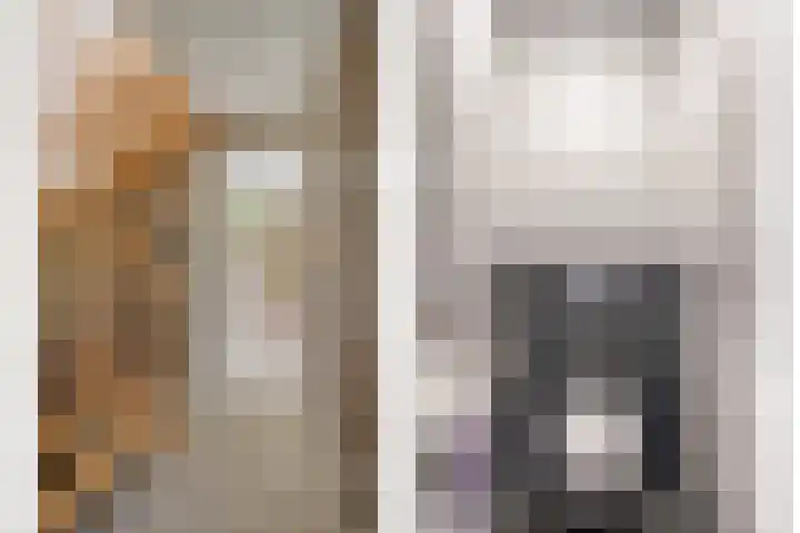 Koolmees 5 Olst thumbnail 6