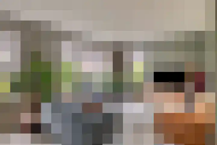 Koolmees 5 Olst thumbnail 7