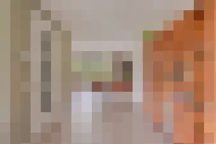 Koolmees 5 Olst thumbnail 9