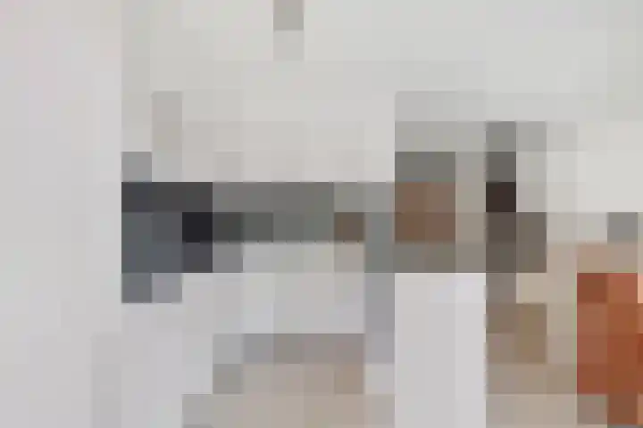 Koolmees 58 Ridderkerk thumbnail 11