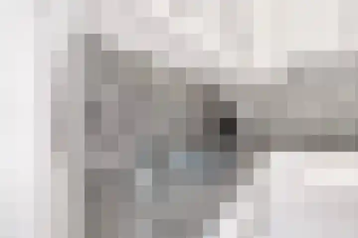 Koolmees 58 Ridderkerk thumbnail 12