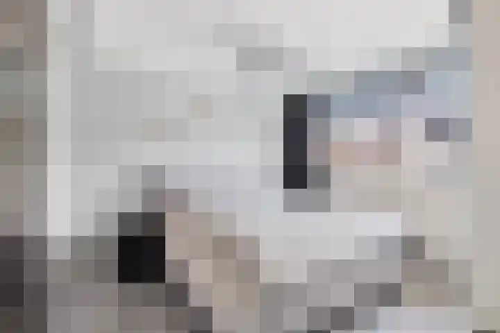 Koolmees 58 Ridderkerk thumbnail 14