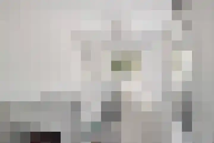 Koolmees 58 Ridderkerk thumbnail 17