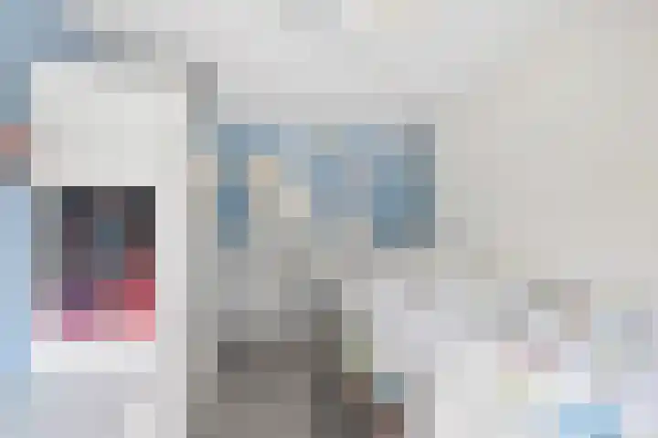 Koolmees 58 Ridderkerk thumbnail 18