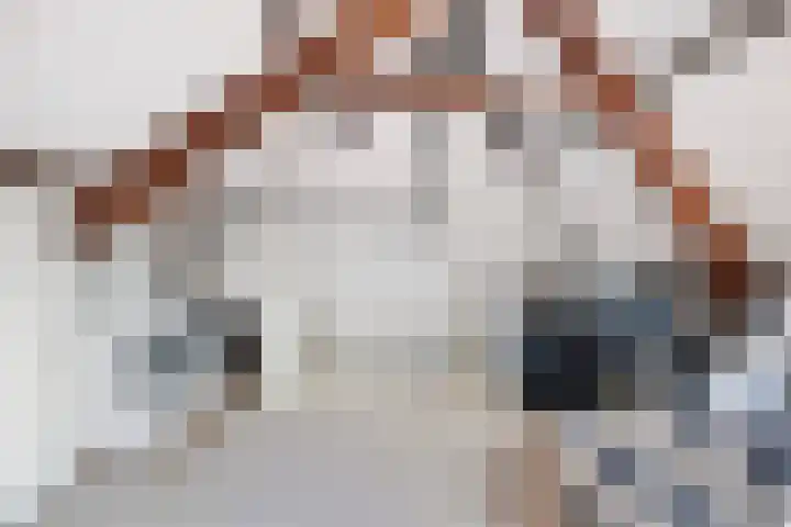 Koolmees 58 Ridderkerk thumbnail 23