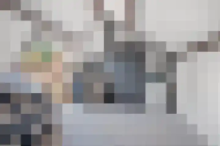 Koolmees 58 Ridderkerk thumbnail 24
