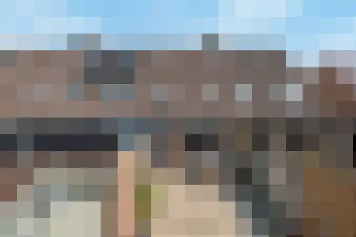 Koolmees 58 Ridderkerk thumbnail 25