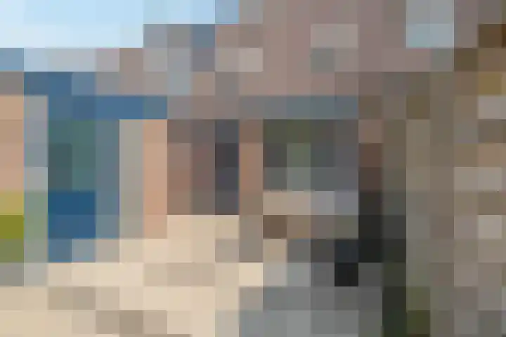Koolmees 58 Ridderkerk thumbnail 26